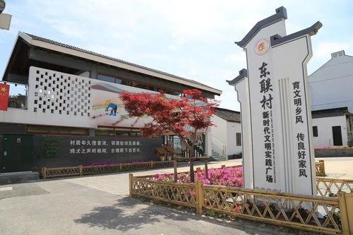 吴江东联村新闻爆料,揭秘乡村振兴新亮点